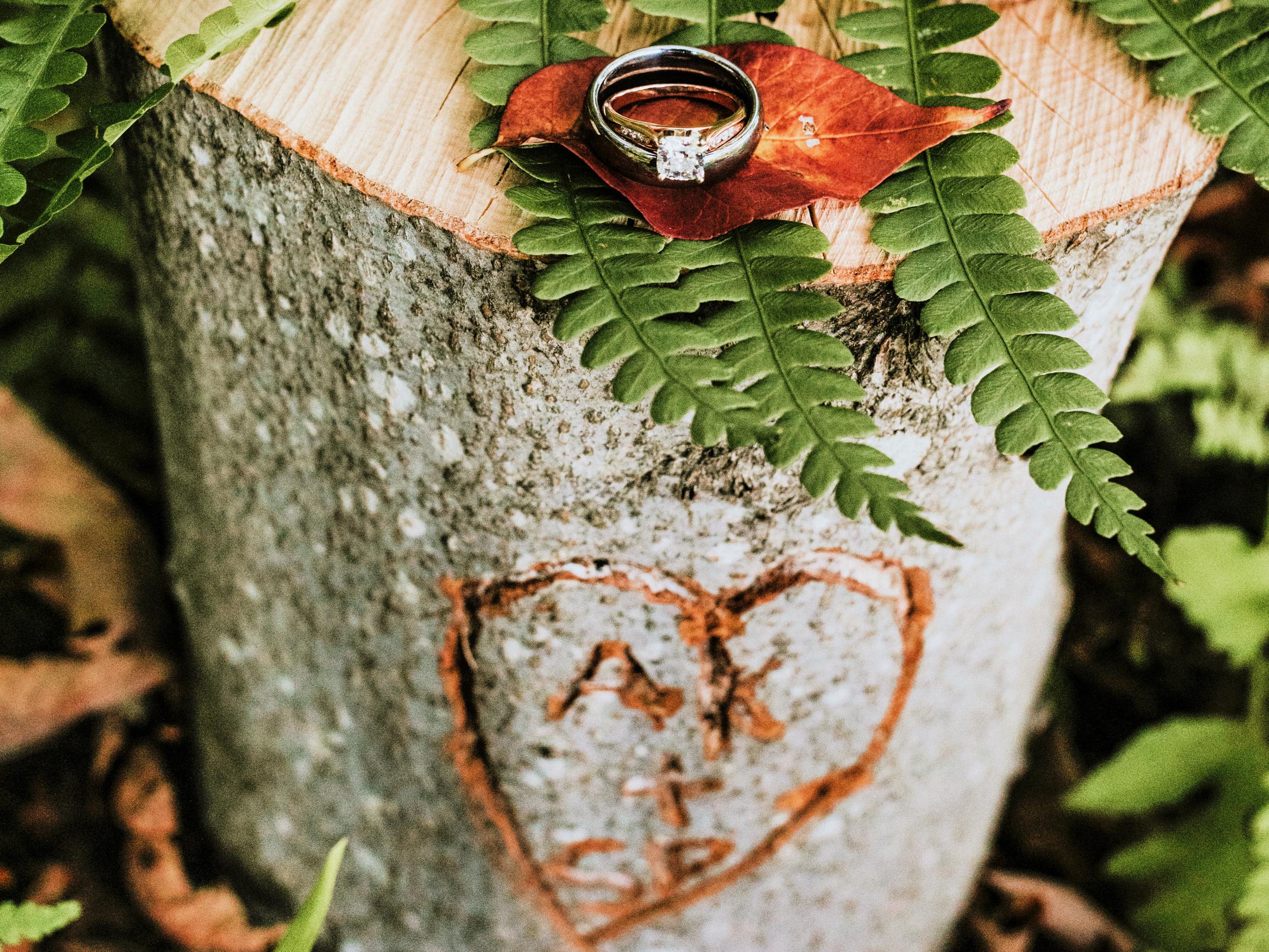 The Wedding Website of Ashlynn Kelley and Samuel Puckey