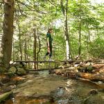 Bear Creek Preserve Trails