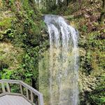Falling Waters State Park