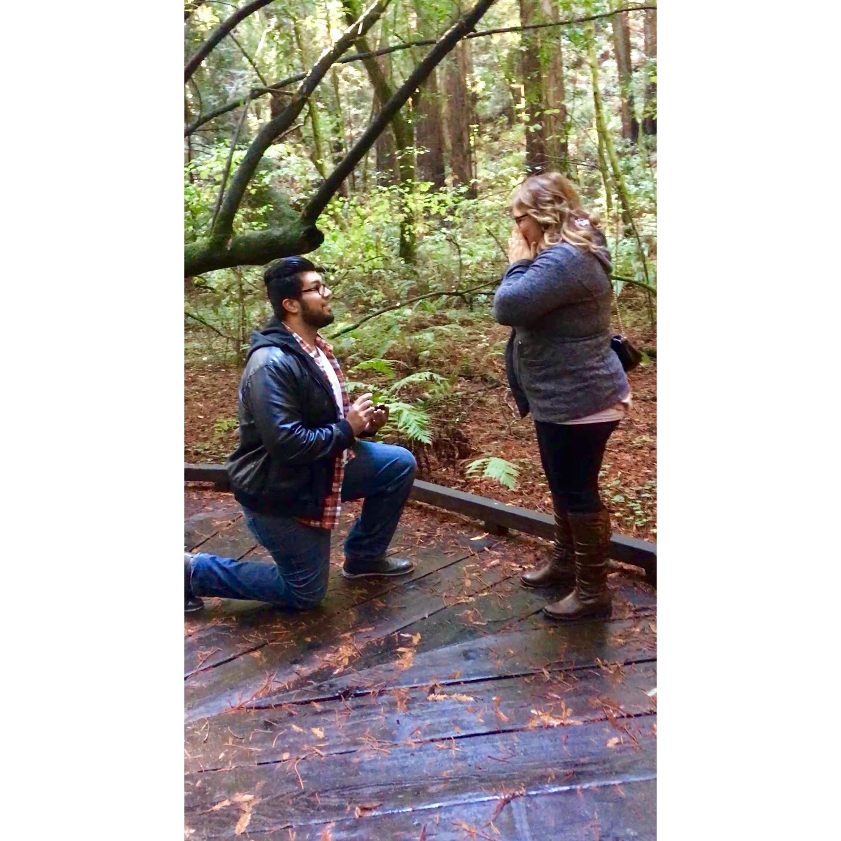 The Proposal - 11.11.2017