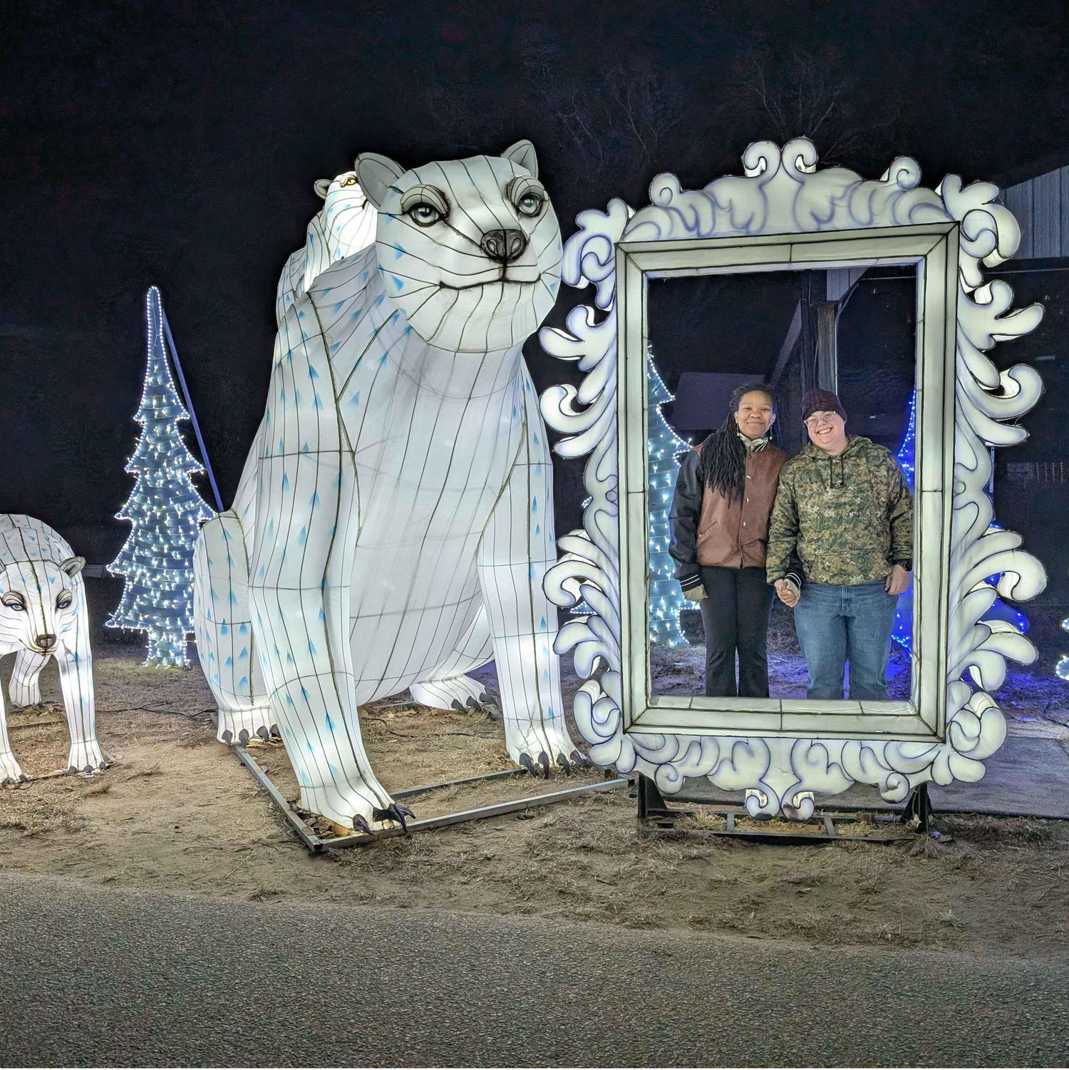 Light show at the zoo!