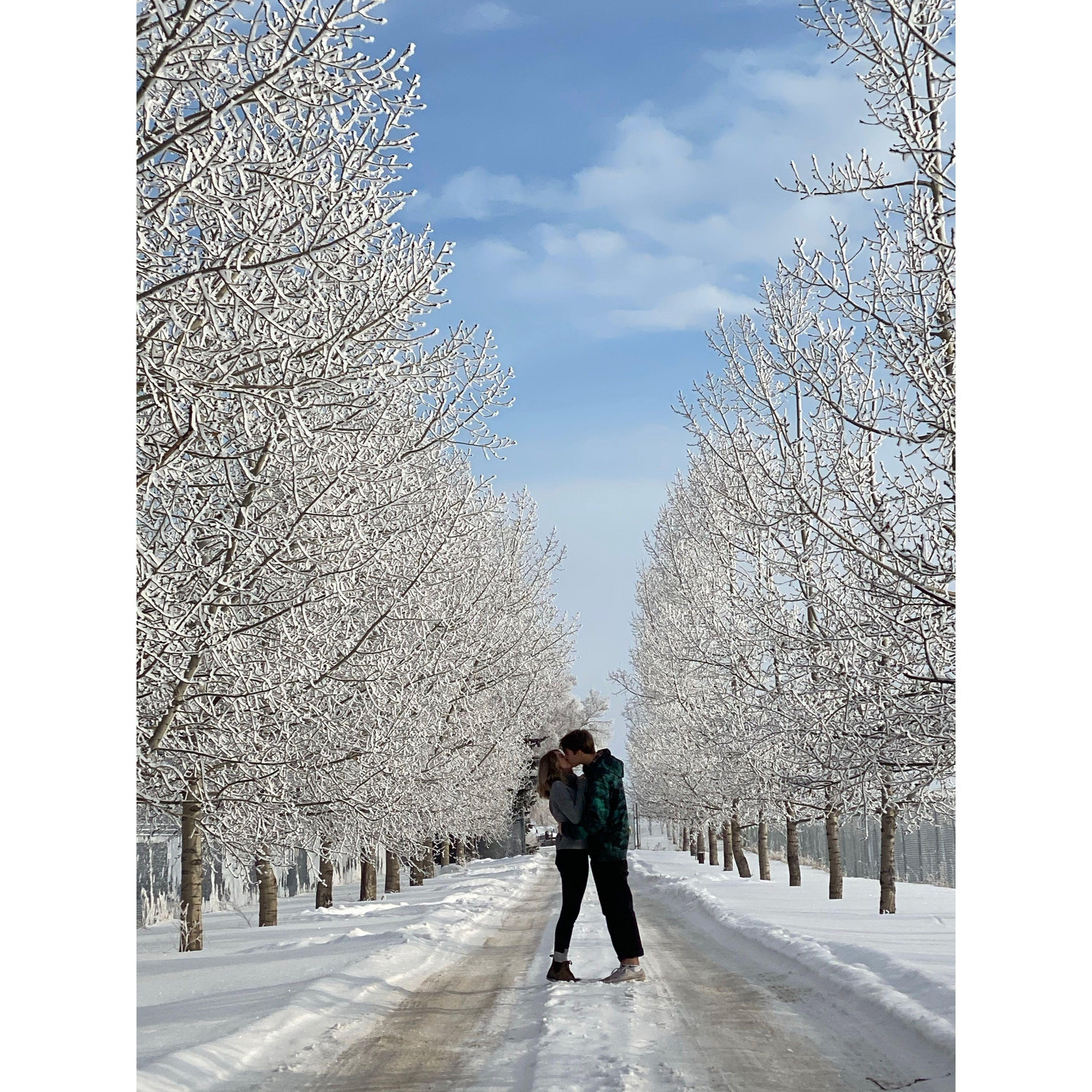 2019 - Found this perfect photo-op in Alberta off the highway near Okotoks