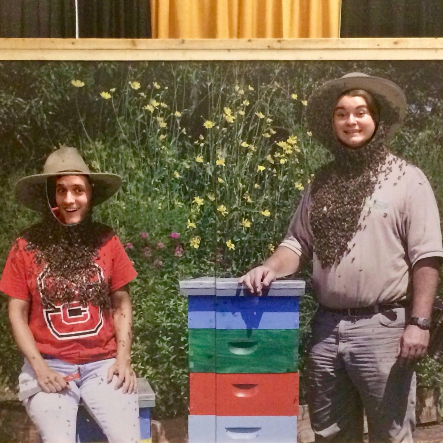 ~2017 NC State Fair~