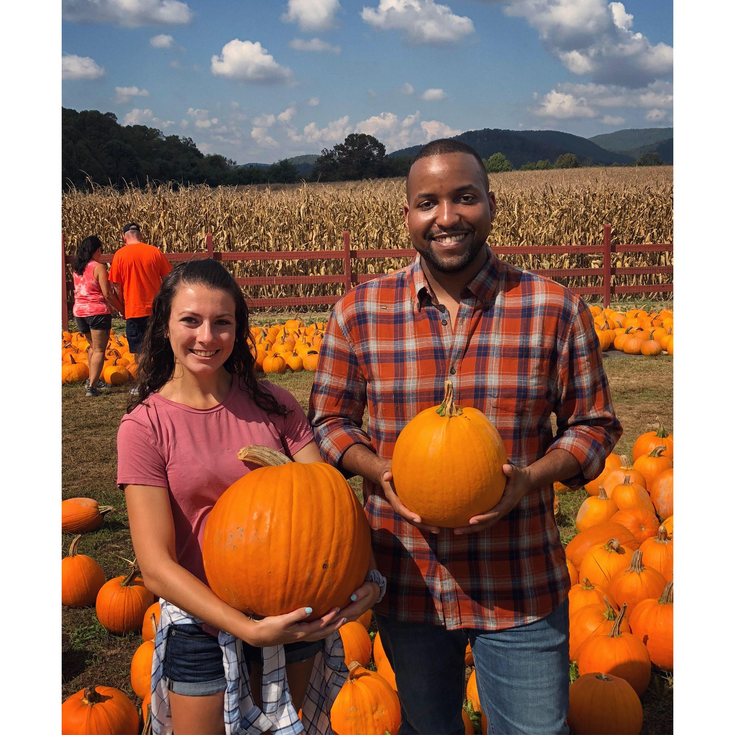 Pumpkin picking in Ashville, North Caroliona.