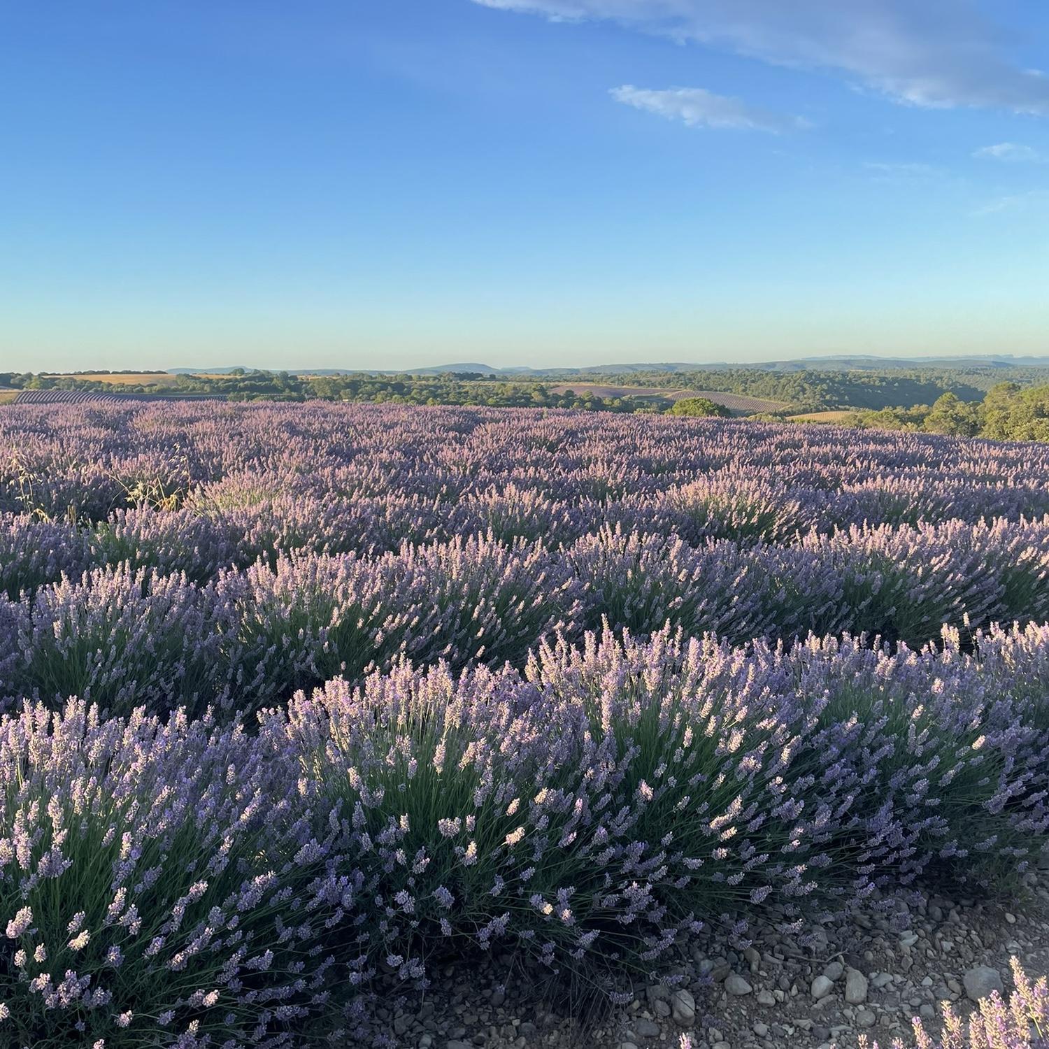 Provence, France - 2024