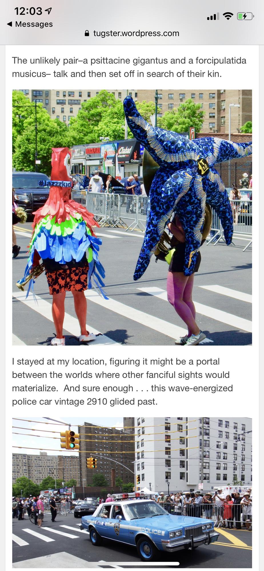 Mermaid Parade 2020
Parrot and Starfish