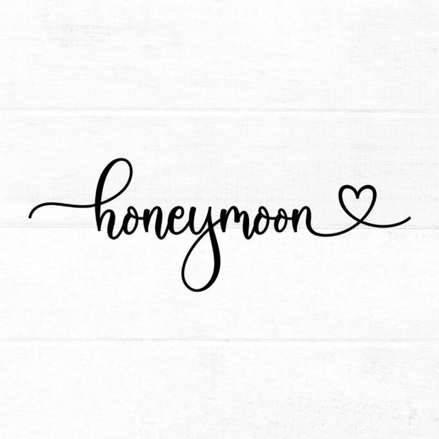Honeymoon Fund🩵