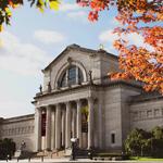 Saint Louis Art Museum