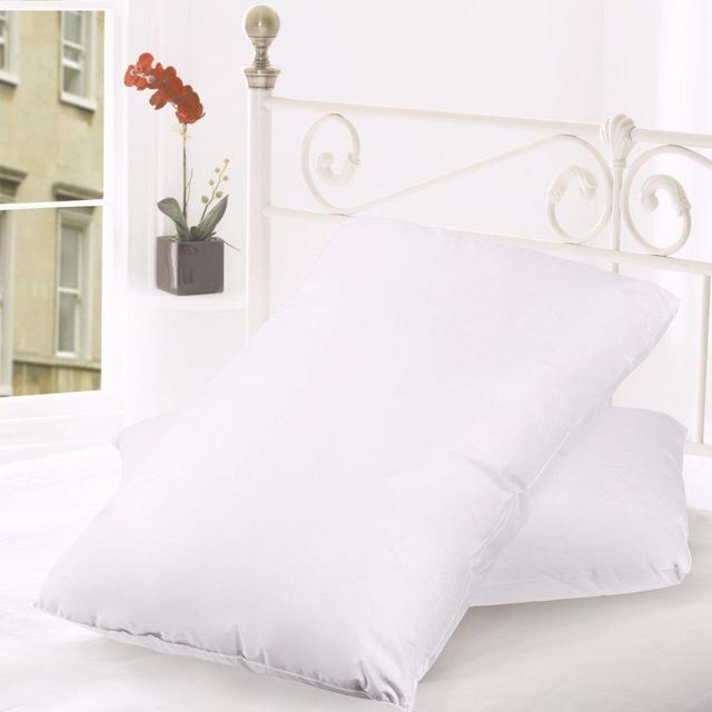 Goose Down & Feather Pillow, 2 Pack