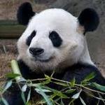 Zoo Atlanta