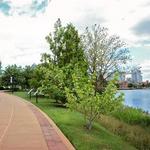 Wilmington Riverwalk