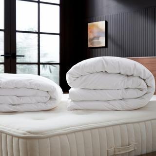 Hypoallergenic Down Alternative Duvet Insert