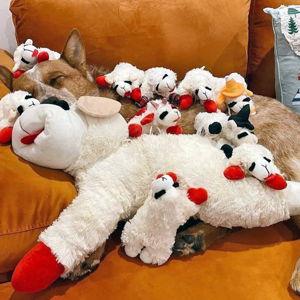 Tucci's Lamb Chop Budget