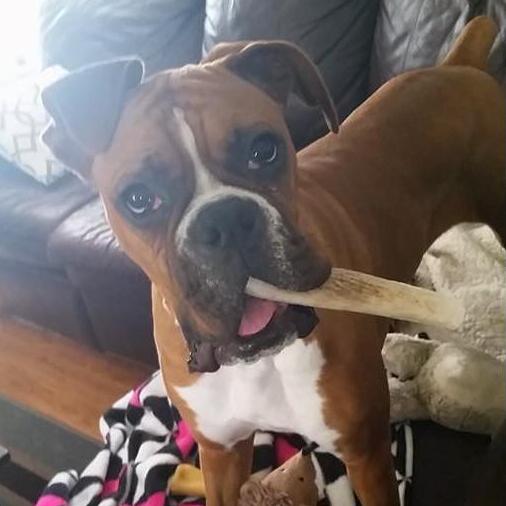 Our first love, dearly departed Finnley Jo