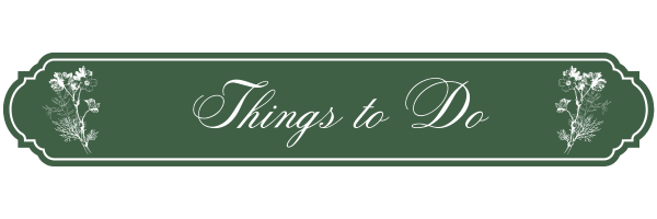 The Wedding Website of Sophia Shumaker and Thomas Romin