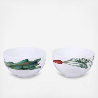 Kyoka Shunsai Small Bowl, Set 2
