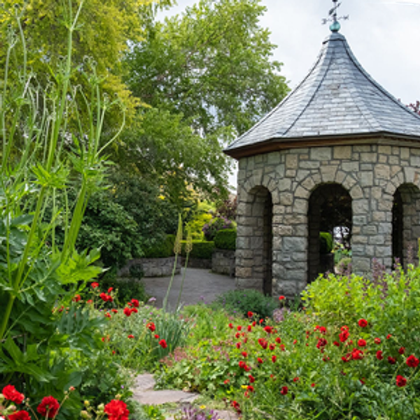 Idaho Botanical Gardens Annual Memberships (2)
