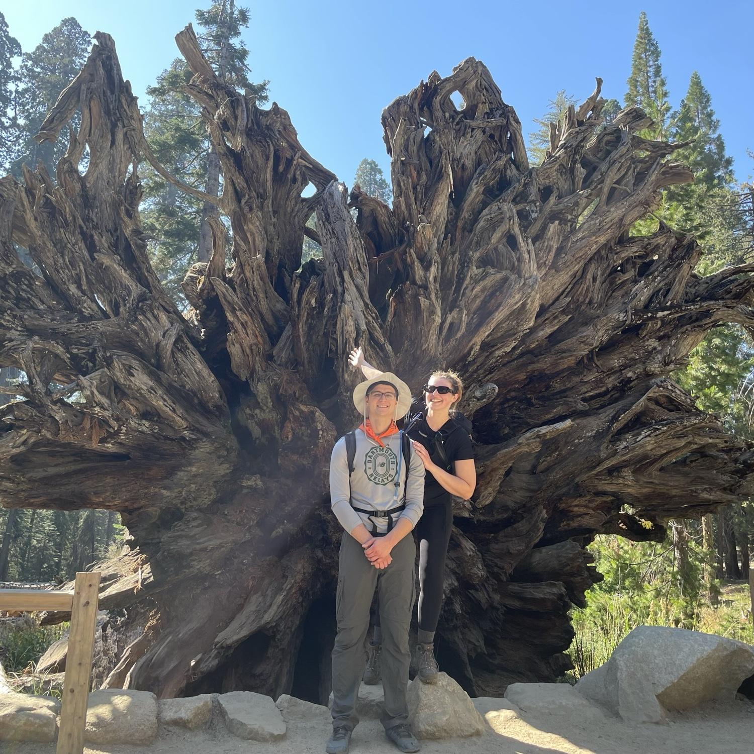 Redwood hike, October 2023