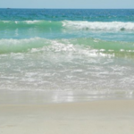 Cupsogue Beach County Park