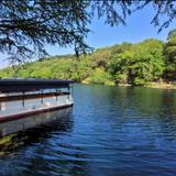 Meadows Center Glass-Bottom Boat Tours