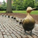 Public Garden