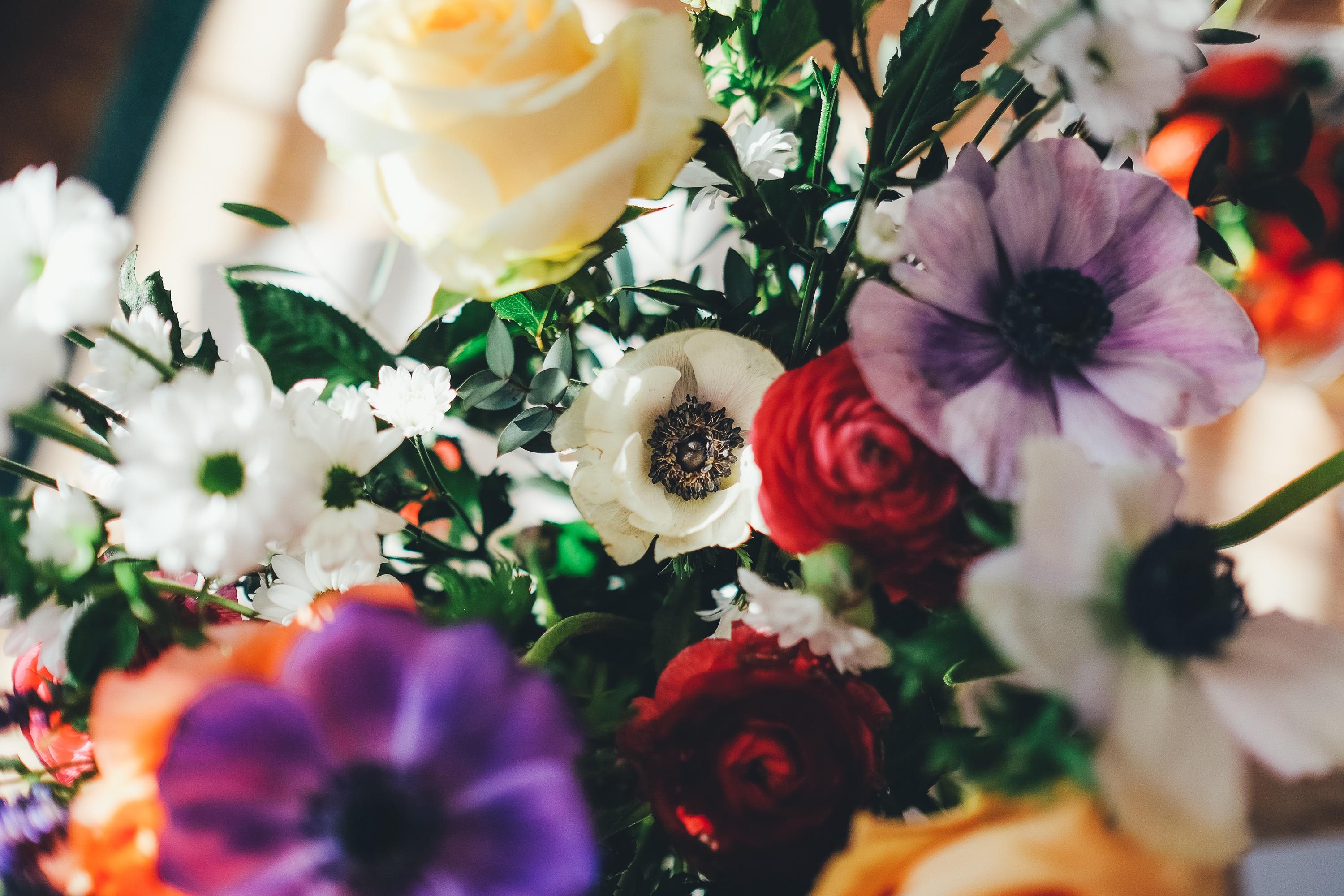 The Wedding Website of Kirby Teuila Grey and Benjamin Gregory Piff