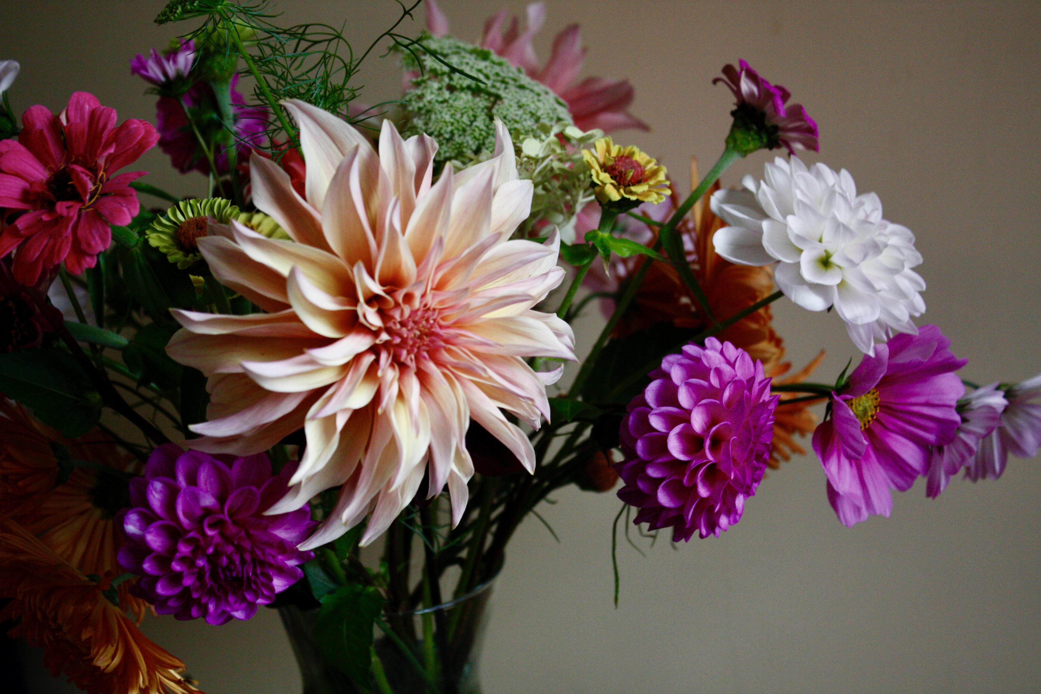 The Wedding Website of Alex Cleaves and Maggie Kenney
