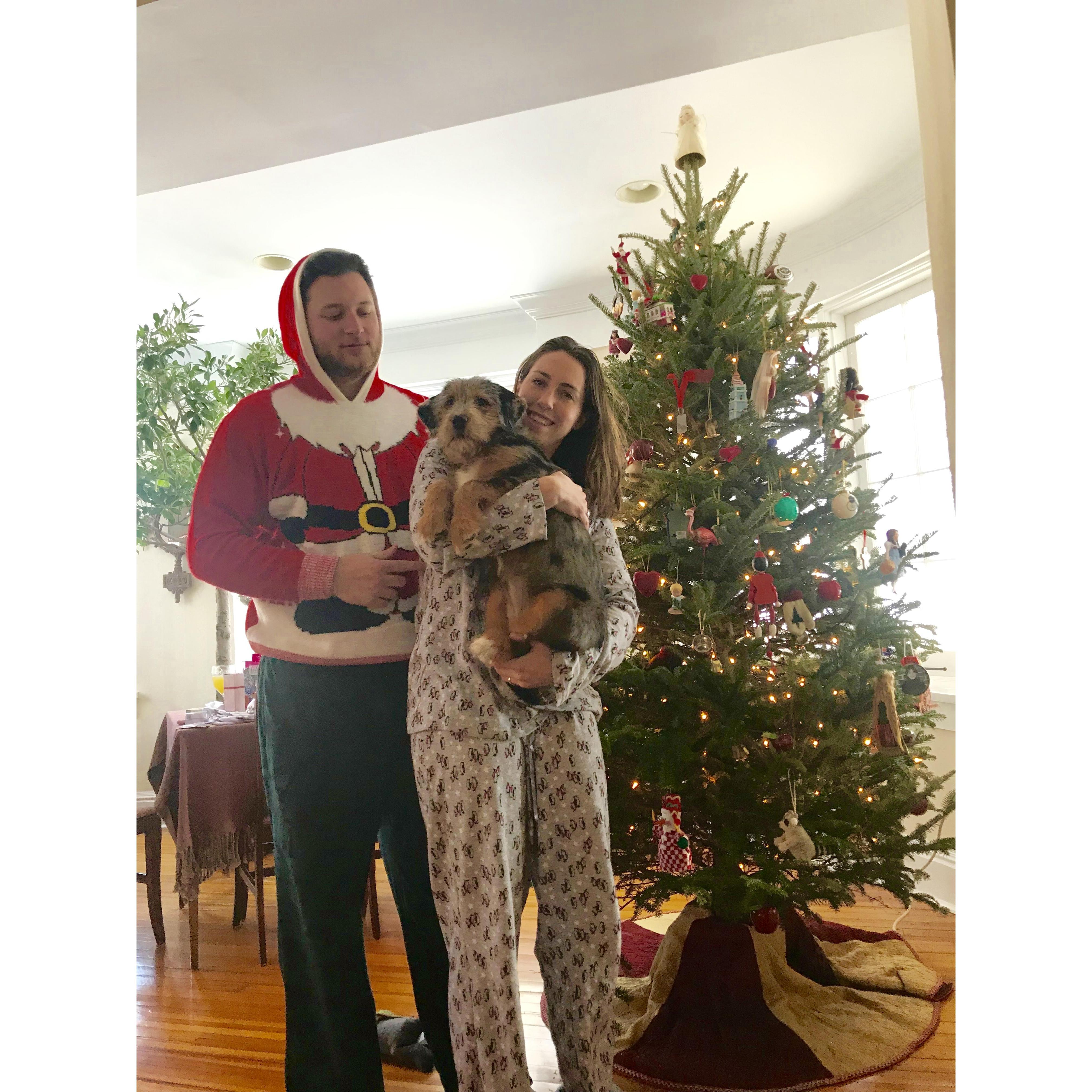 We got a puppy for Christmas! 2017