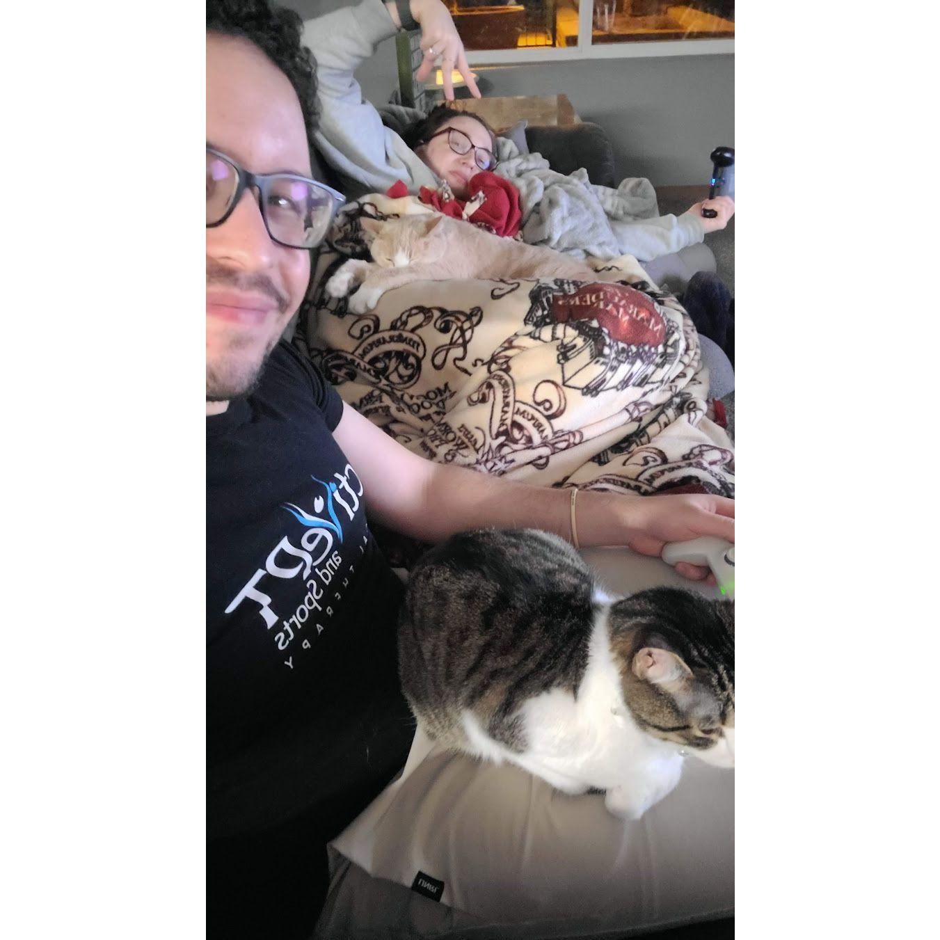 The cats visited while playing Mario Party