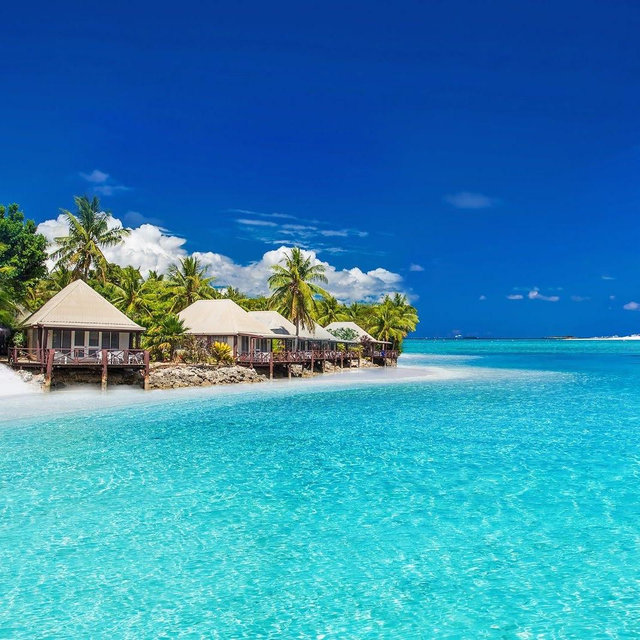 Honeymoon Fund 🏝️🛫❤️