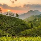 Munnar