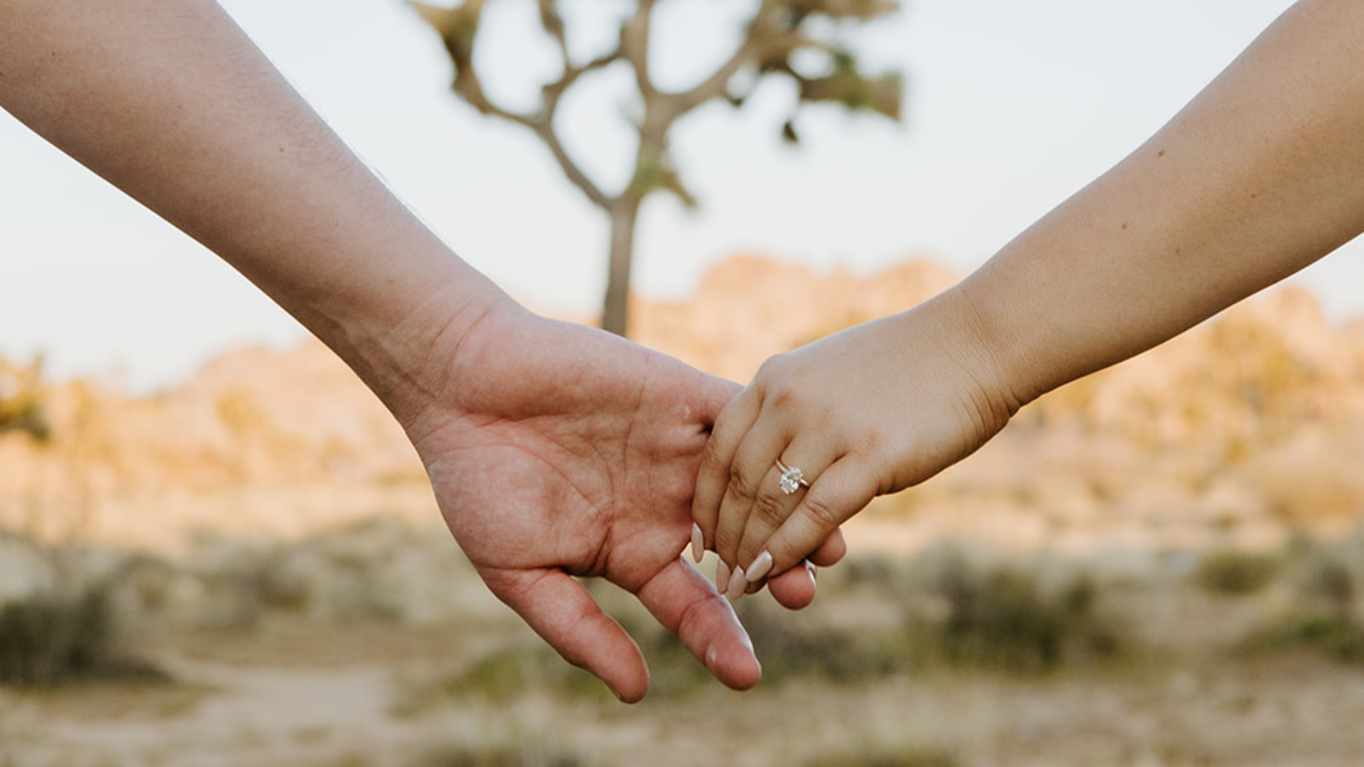 The Wedding Website of Mackenzie Coe and Zachary Gaeta