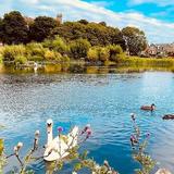 Keptie Pond