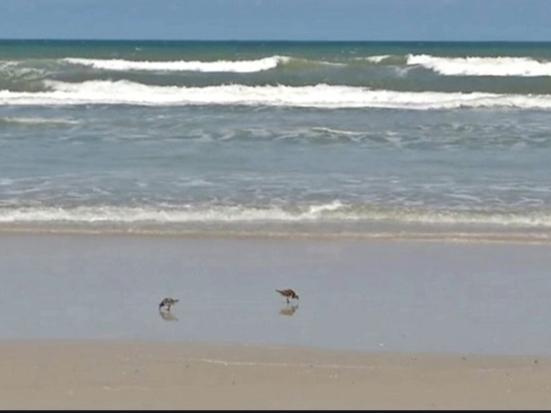 The Wedding Website of Adriana Cabarcas and Alan Gutberlet