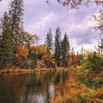 visit pretty lil' manzanita lake
