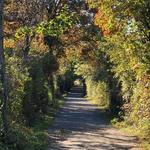 🌾 The Pole Farm at Mercer Meadows