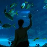 Great Lakes Aquarium