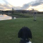 Causeway Club
