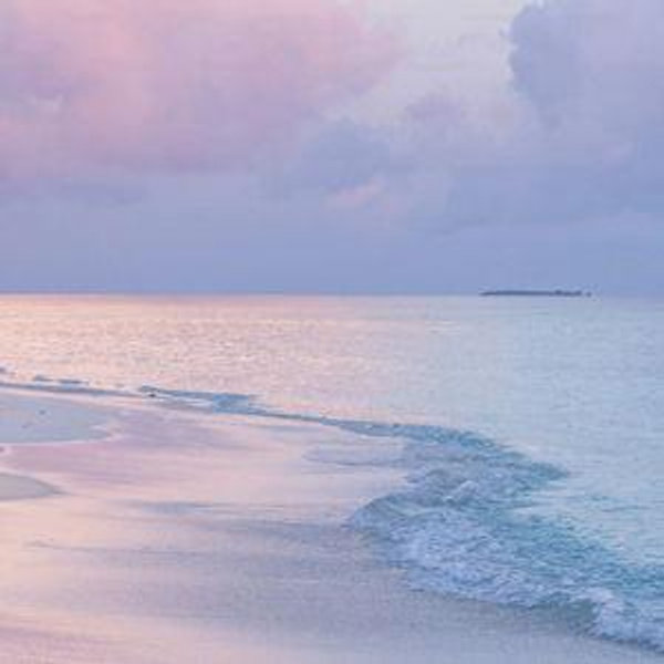 Hawaii Honeymoon Fund