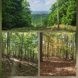 Monte Sano State Park