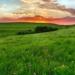 Konza Prairie - Nature Trail