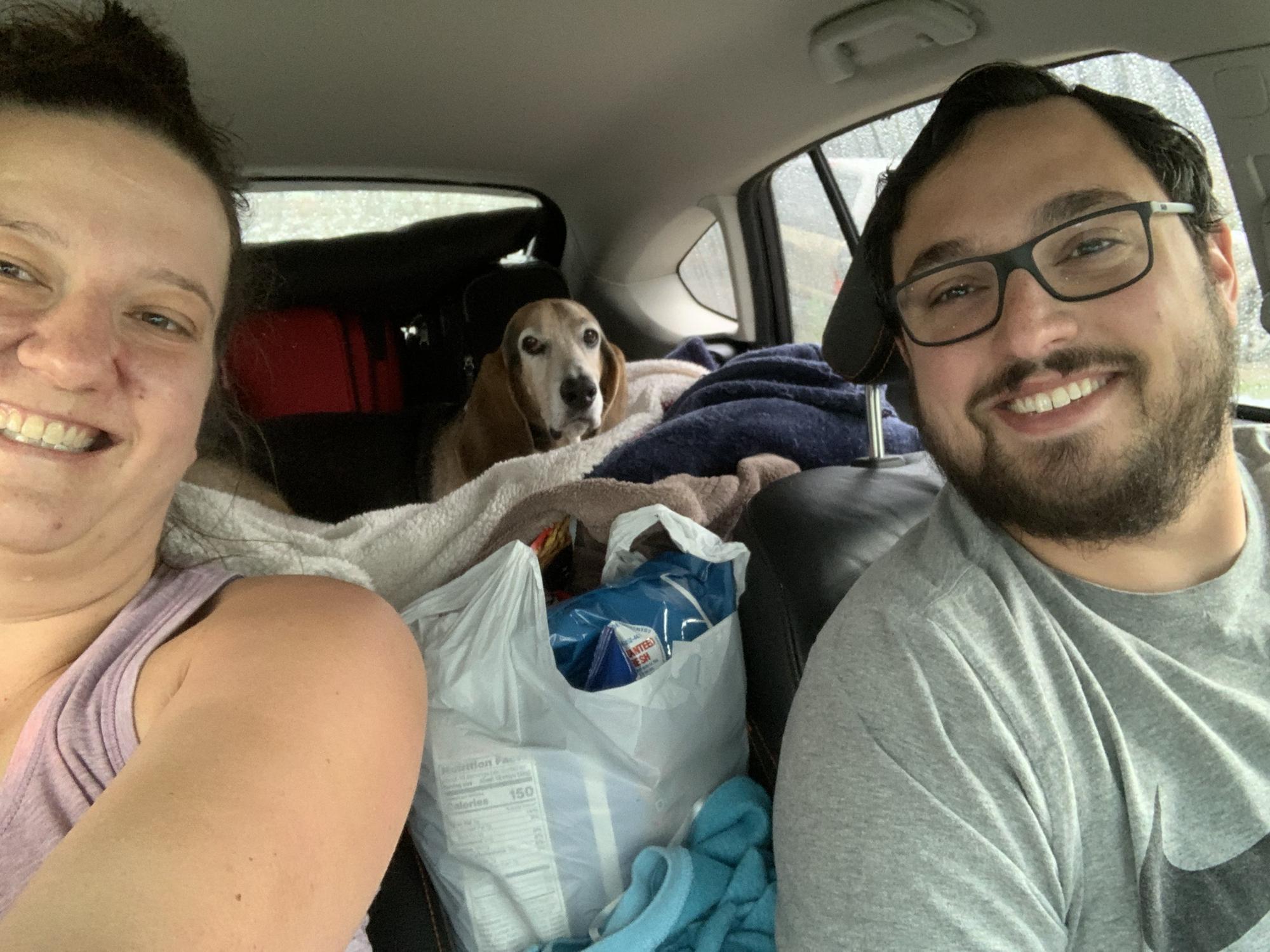 Road trip with Sherlock, September 2020 - on the way to a mid-pandemic vacation so Katie could finally meet Lochlin's parents in person (but socially distanced)