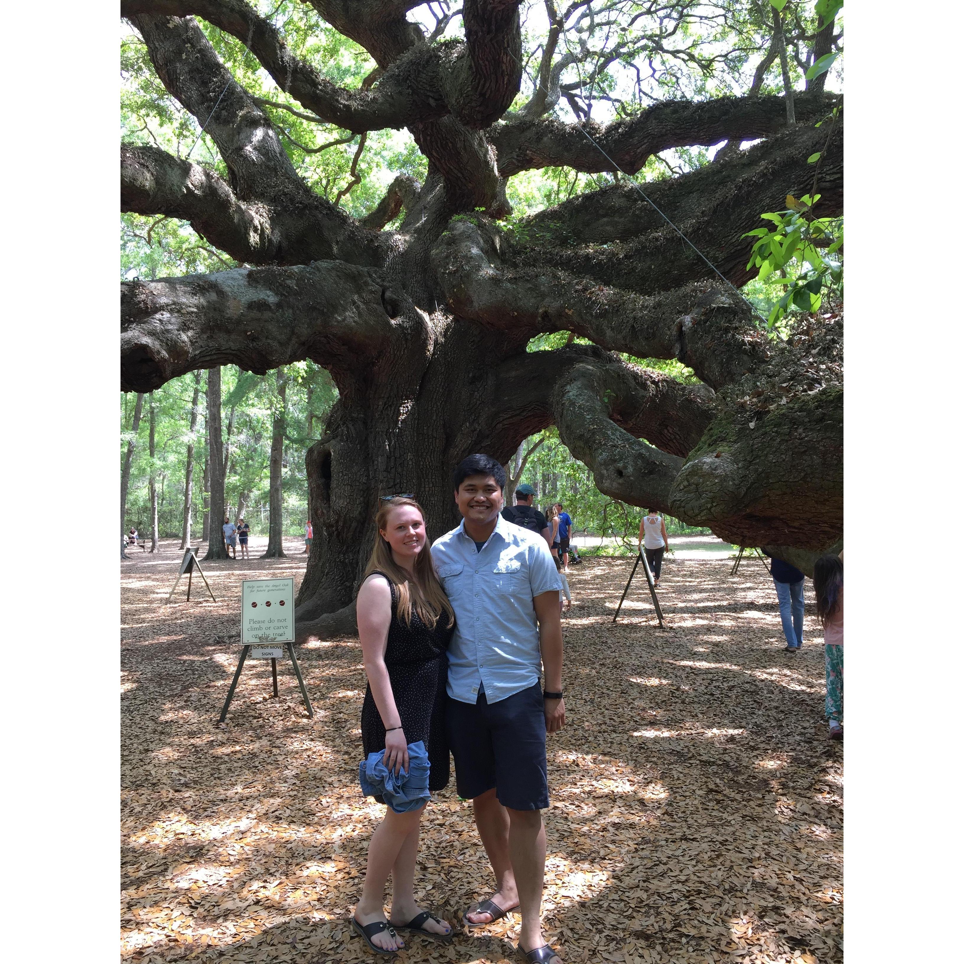 Watching Top Chef:Charleston inspired Peter and Sarah to visit and spend time sightseeing with Tina and Richmond. Here they are in front of the Angel Oak tree-Don't they look photogenic?