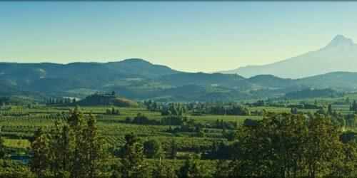 The Wedding Website of Sophia Pettit and James Bruce