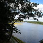 Peace Nature Sanctuary