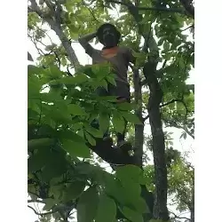 Fun on a hike!