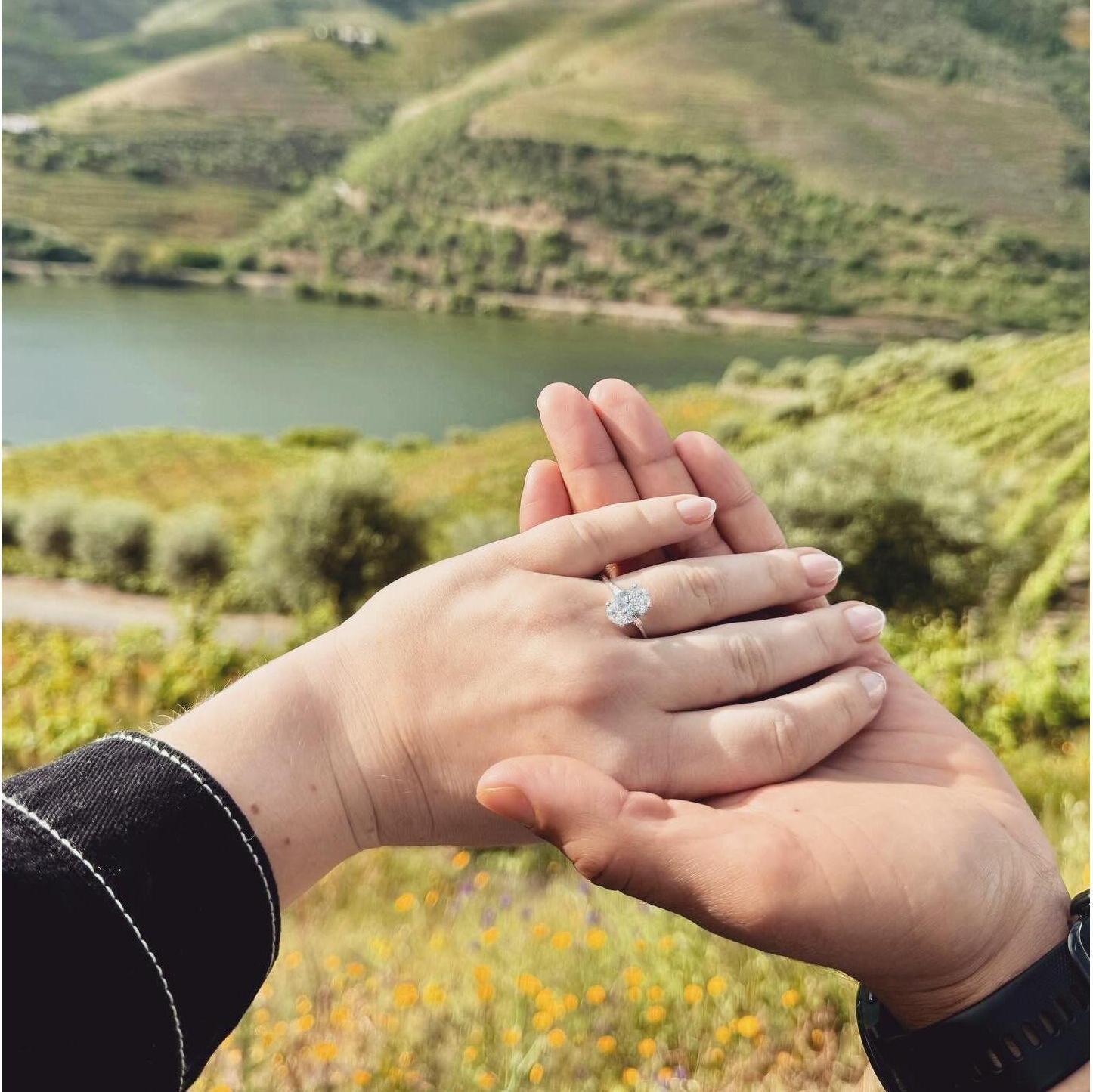 Portugal, 2024. "The Proposal"