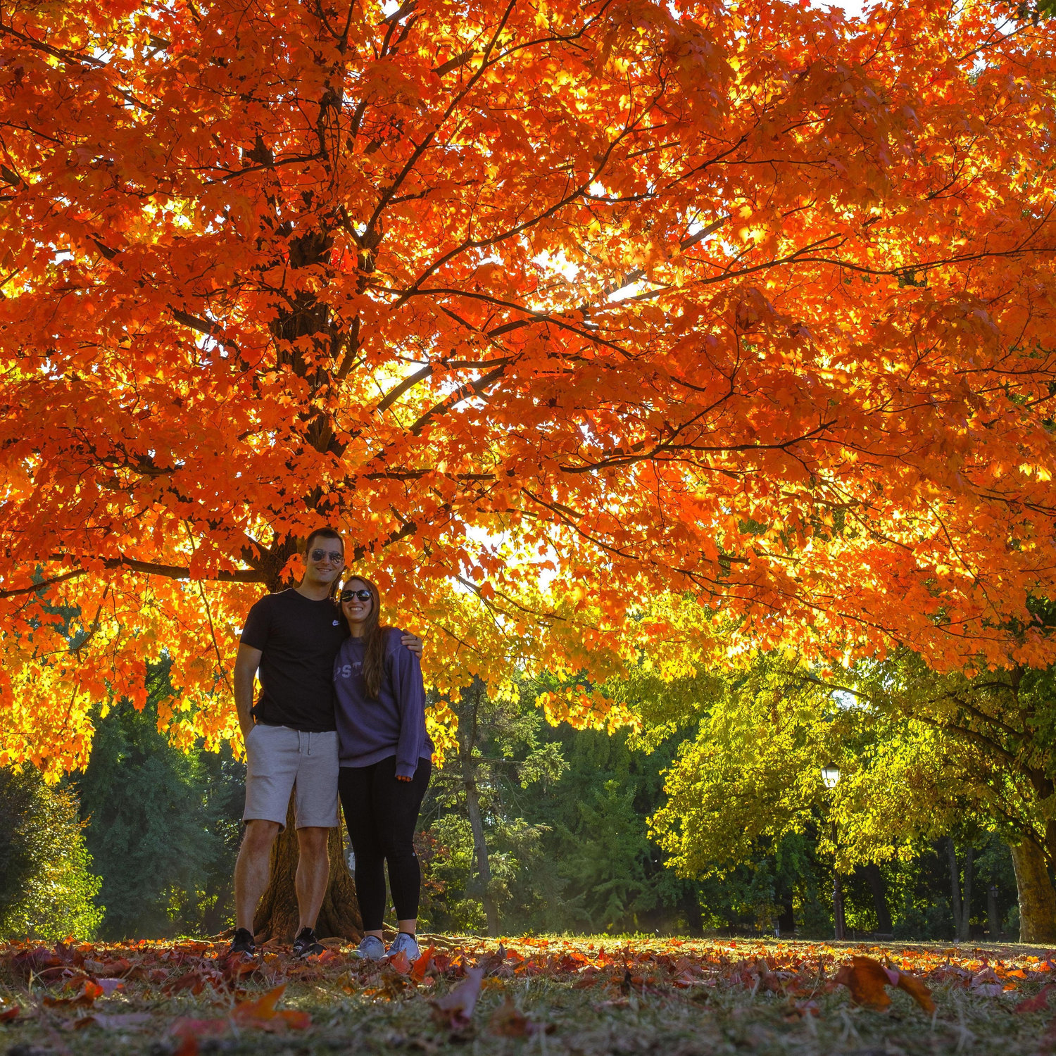 October 2024, Prospect Park, Brooklyn