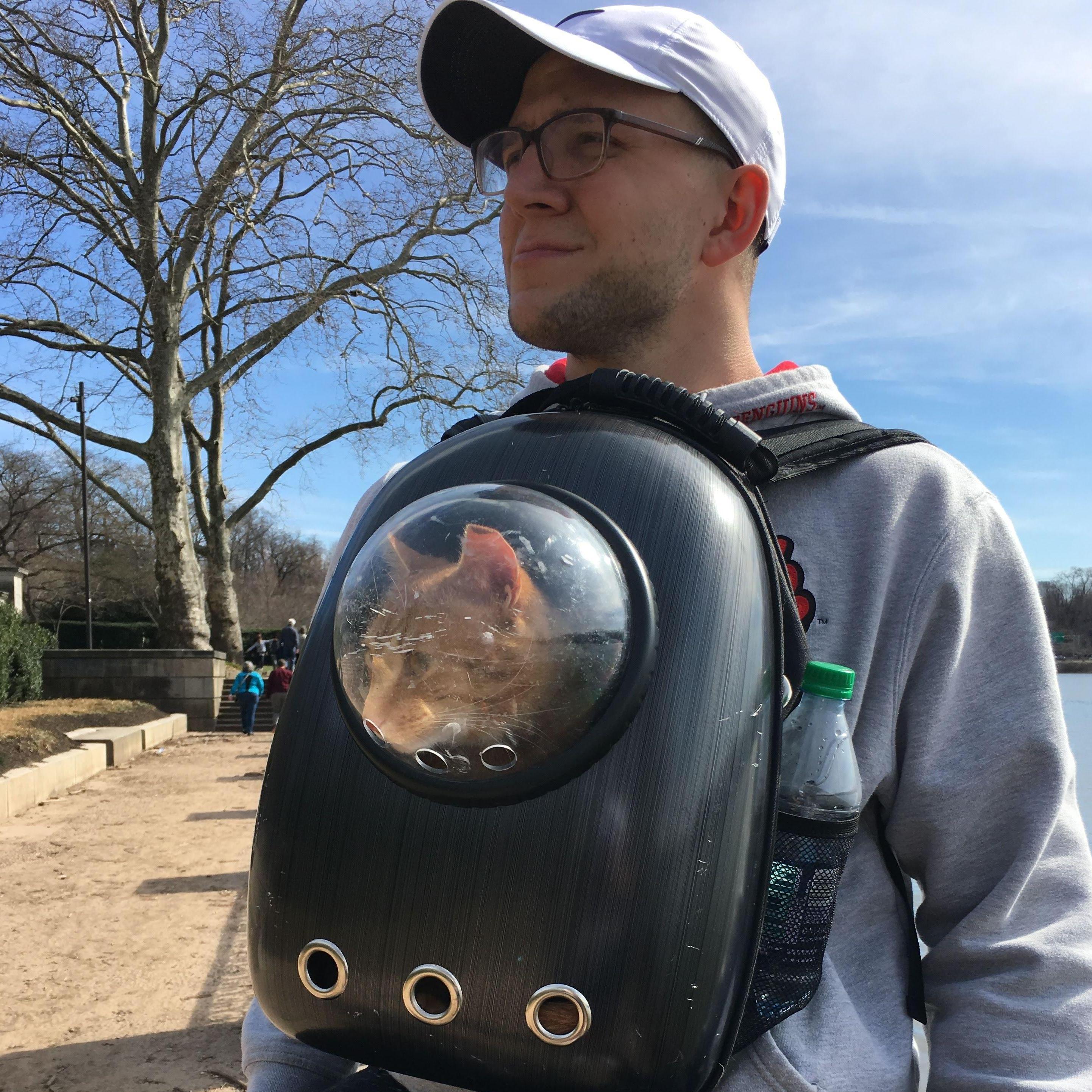 The One where Simba travels