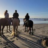 Horseback Riding on the Beach